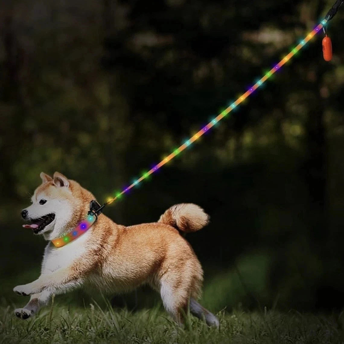 Pueikai Led Hundeleine, Halsband Typ-C Wiederaufladbar mit Hundekotbeutel Orange